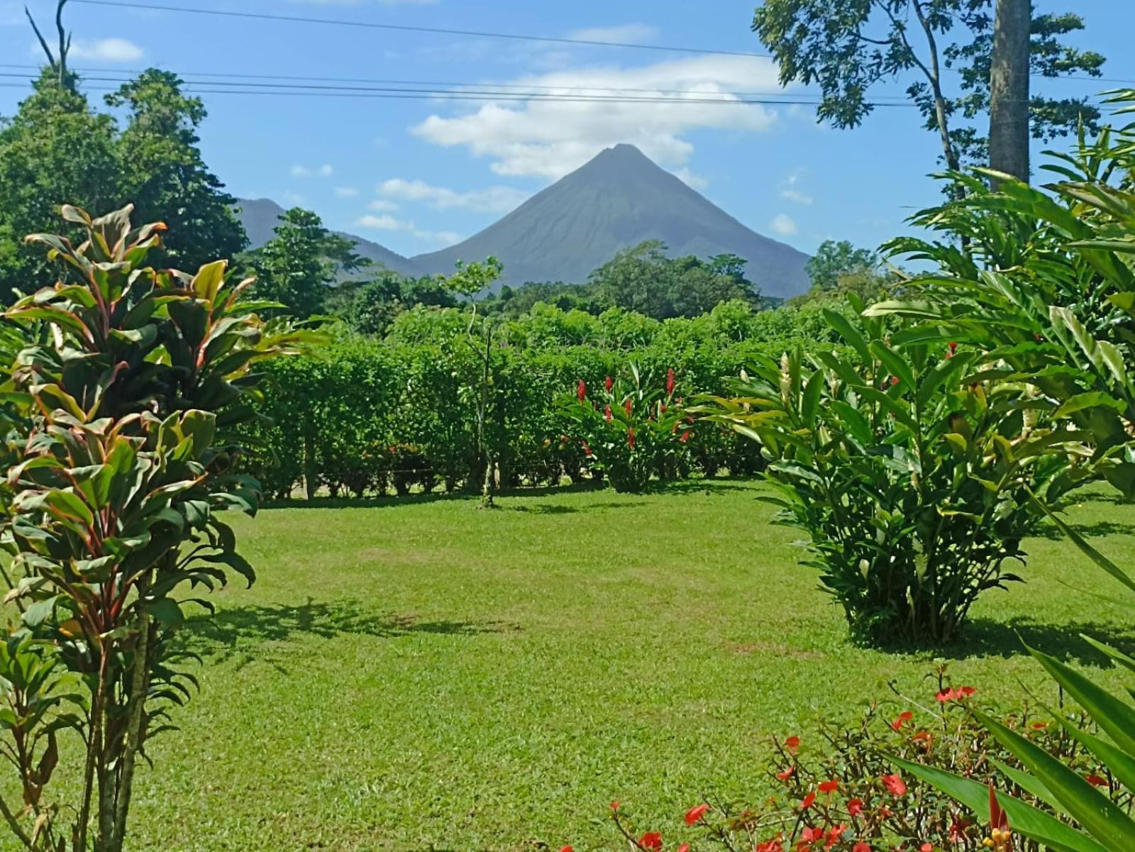 Villa Ceiba La Fortuna Exterior photo